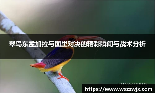翠鸟东孟加拉与图里对决的精彩瞬间与战术分析