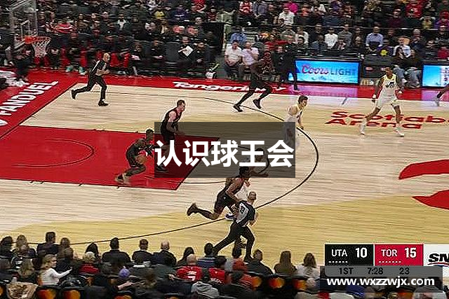认识球王会